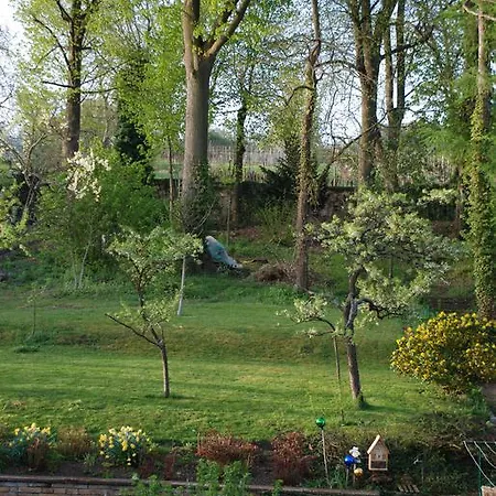 Les Bleuets Scharrachbergheim-Irmstett